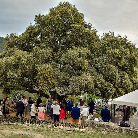 Villa Masia Cal Simo - Casa Rural Con Piscina, Cerca De Sitges, Para Celebraciones Y Eventos